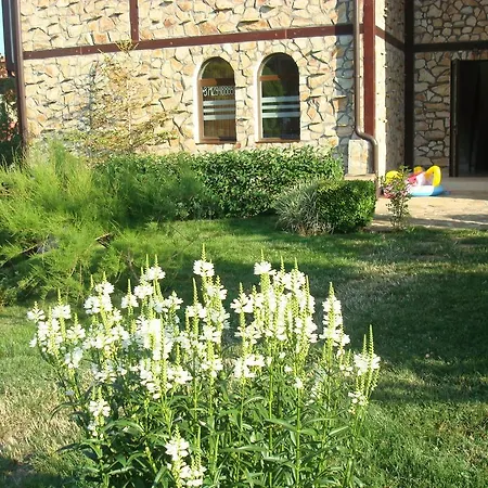 Etara 2 圣弗拉斯